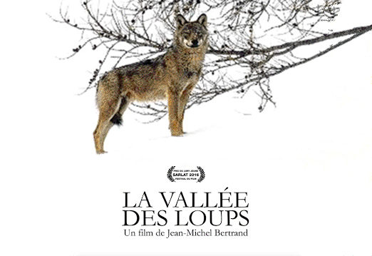 Affiche du film La vallée des Loups